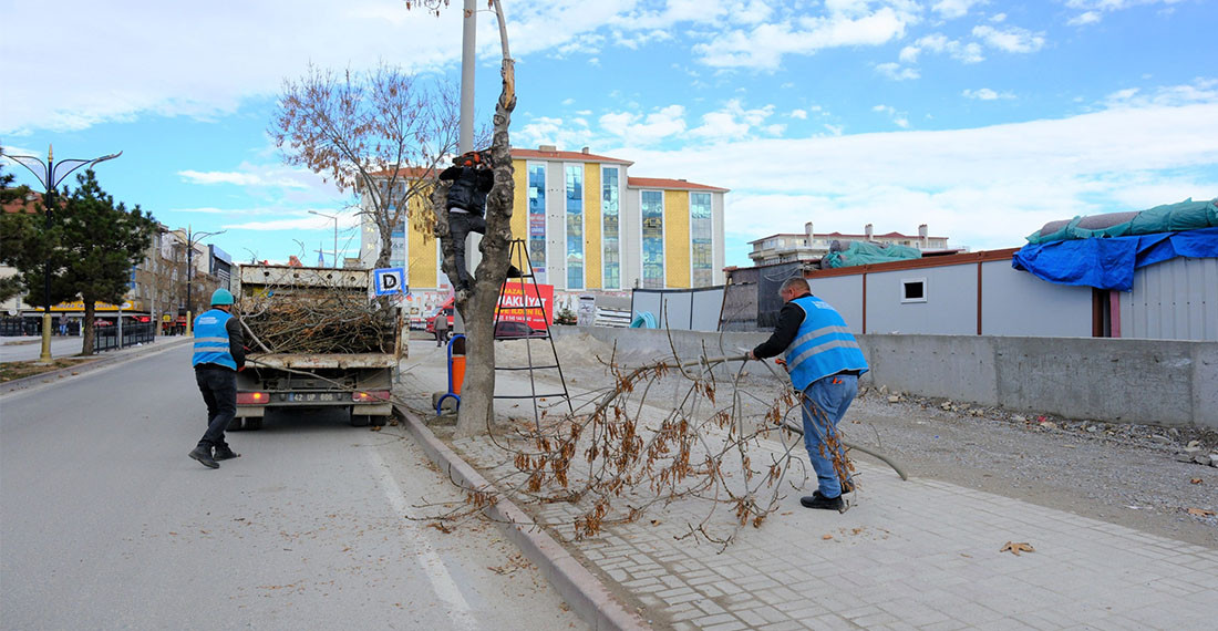 Akşehir Belediyesi Ağaç Budama Çalışmalarına Başladı